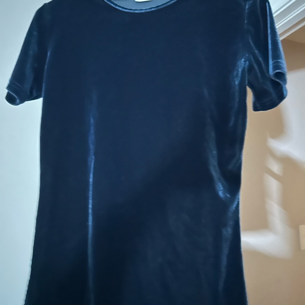 Velvet Short Sleeve Top